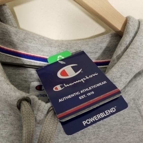 NWT Champion Hoodie Logo Sweatshirt Pullover Gray Size 4X - Picture 5 of 7
